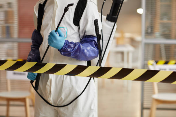 Professional Odor Removal technician working in Cornish, ME