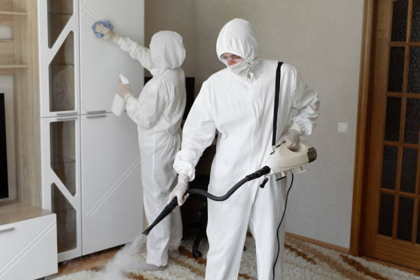 24/7 Emergency Odor Removal experts in Cornish, ME